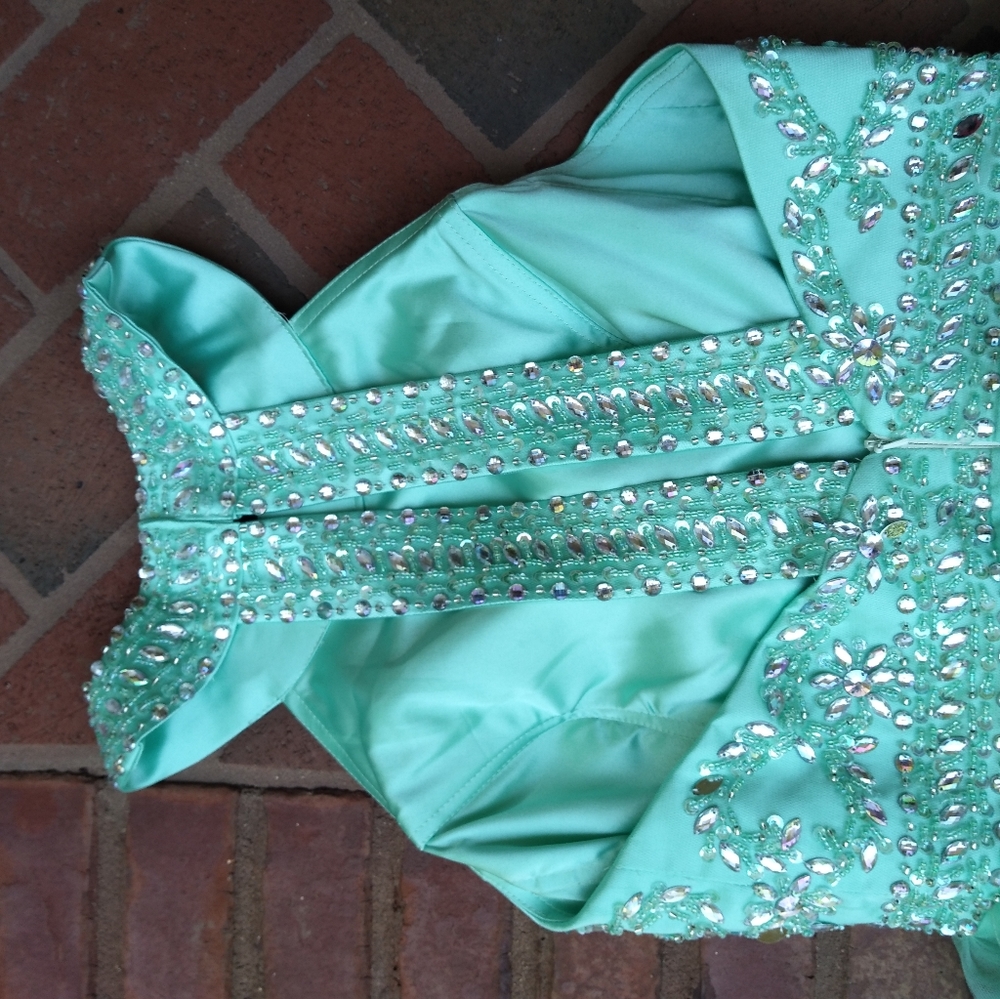 Pageant Prom Dress - Picture 5 of 6